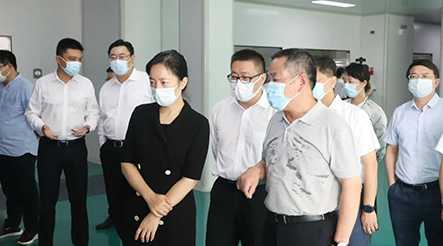 市委副书记、代市长盛蕾一行莅临公司视察调研